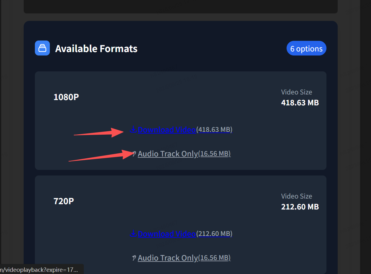 Download Options Interface